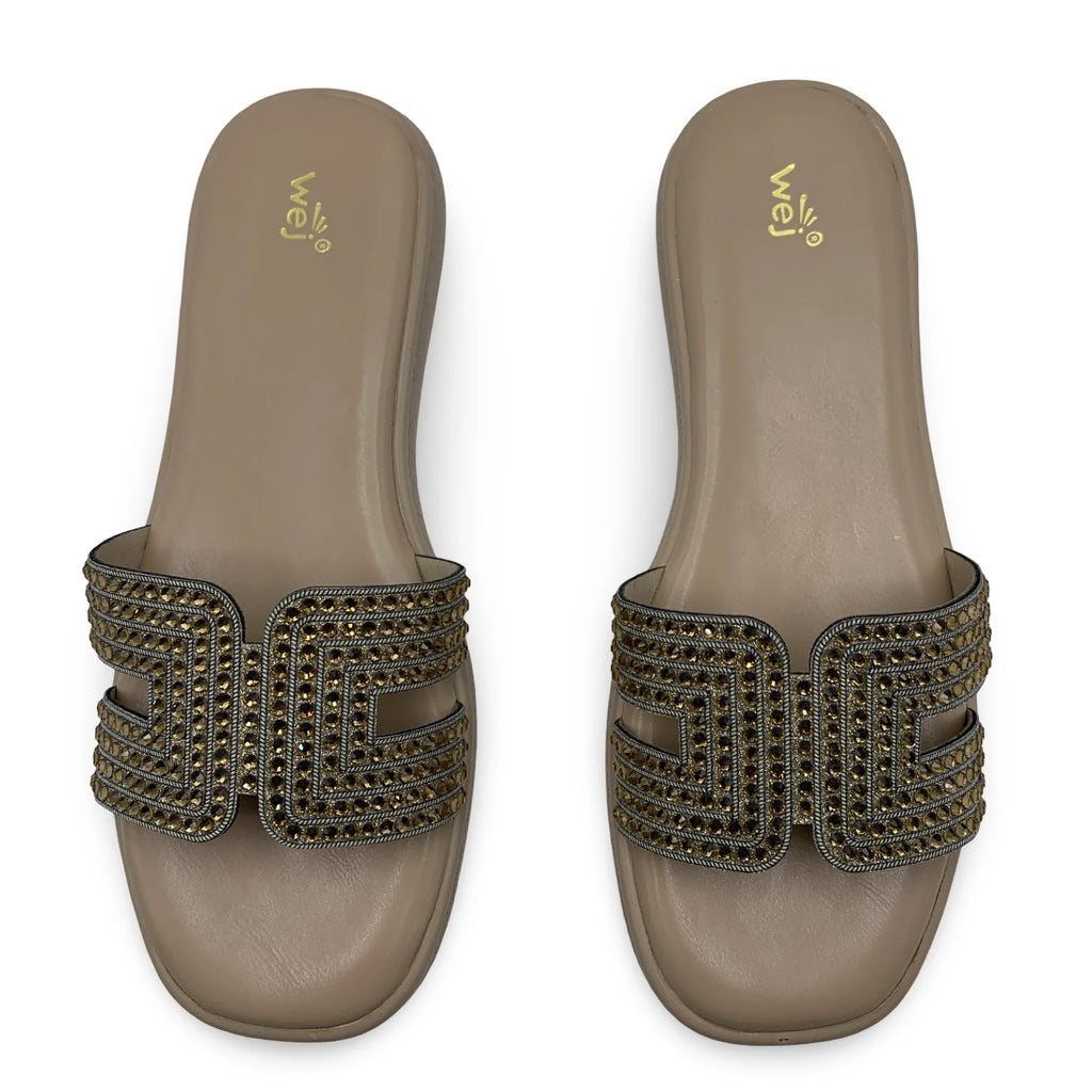 2-3973  Women's Elegant Slippers